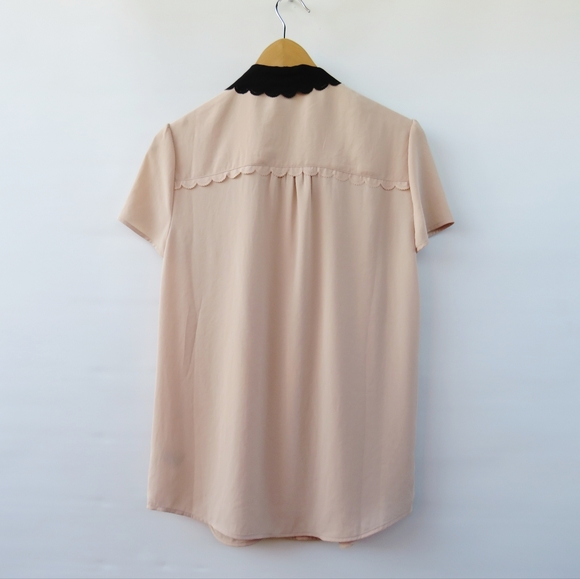 Anthropologie HD in Paris Nudey Beige Blush Peter Pan Scallop Collared Blouse - Picture 7 of 10